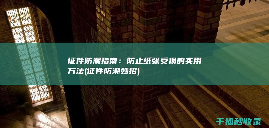 证件防潮指南：防止纸张受损的实用方法 (证件防潮妙招)