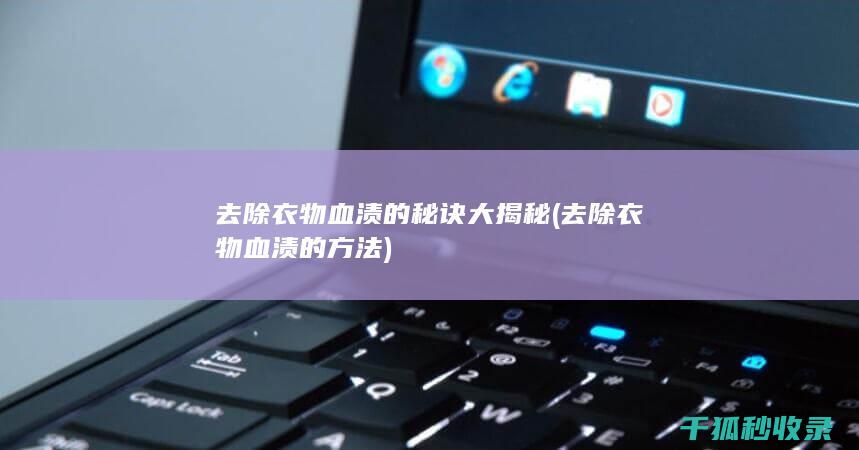 去除衣物血渍的秘诀大揭秘 (去除衣物血渍的方法)