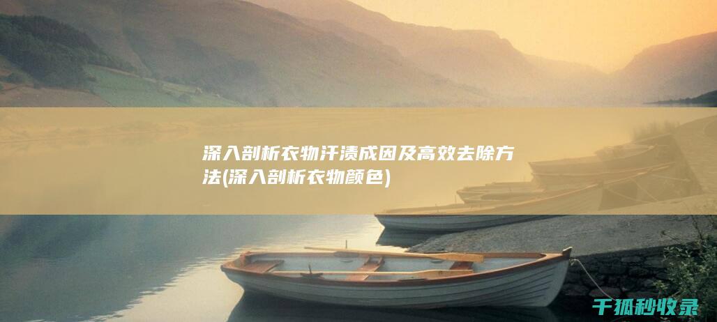 深入剖析衣物汗渍成因及高效去除方法 (深入剖析衣物颜色)