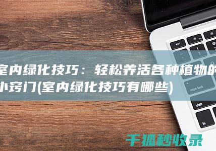 室内绿化技巧：轻松养活各种植物的小窍门 (室内绿化技巧有哪些)