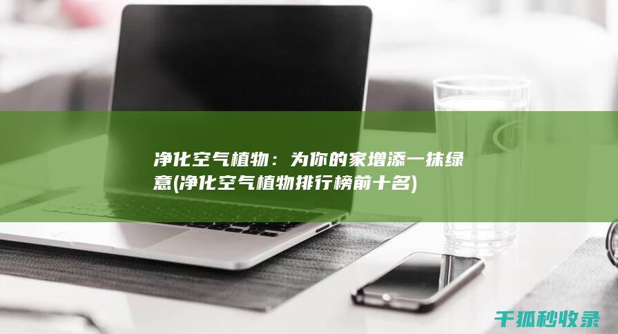 净化空气植物：为你的家增添一抹绿意 (净化空气植物排行榜前十名)