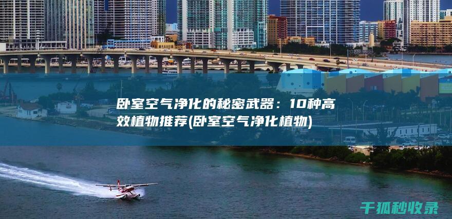 卧室空气净化的秘密武器：10种高效植物推荐 (卧室空气净化植物)