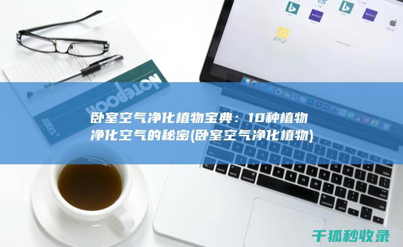 卧室空气净化植物宝典：10种植物净化空气的秘密 (卧室空气净化植物)