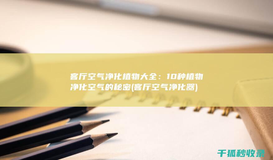 客厅净化器