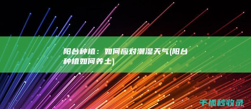 阳台种植：如何应对潮湿天气 (阳台种植如何养土)