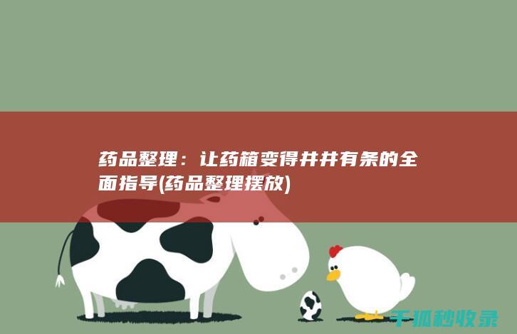 药品整理：让药箱变得井井有条的全面指导 (药品整理摆放)
