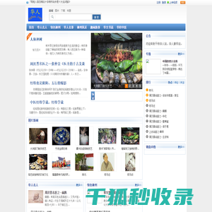 【官网】IPIDEA