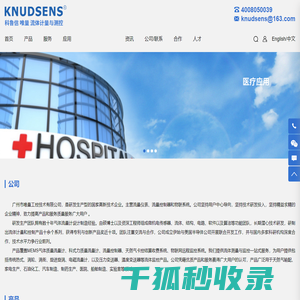国产质量流量计